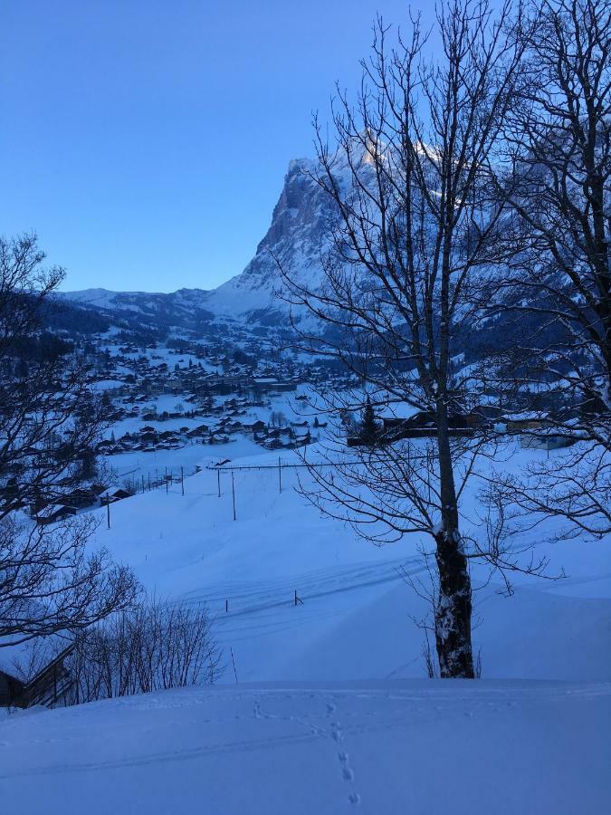 Chalet Studen Grindelwald Exterior photo